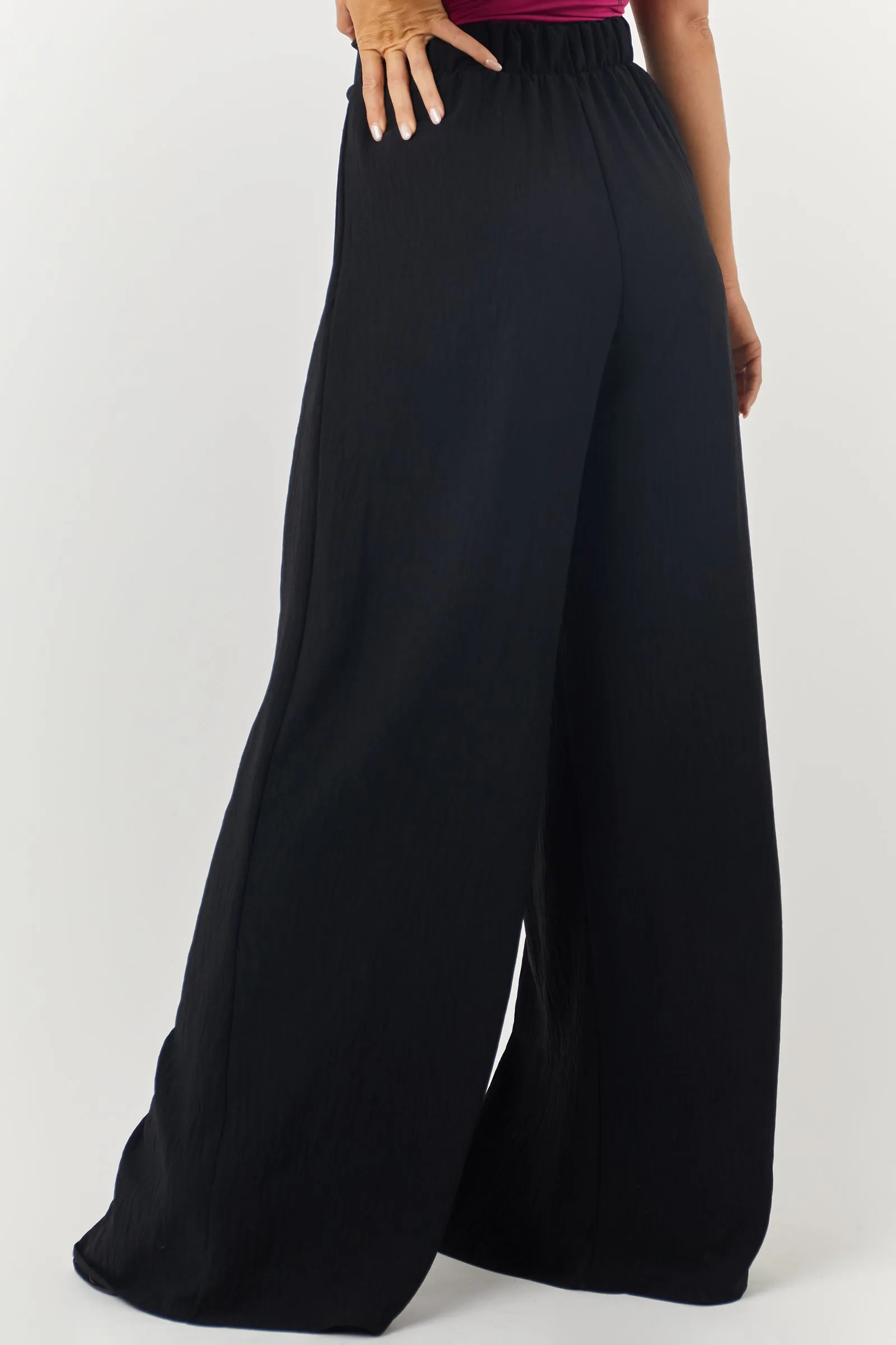 Black Pleated Wide Leg Flowy Elastic Waist Pants